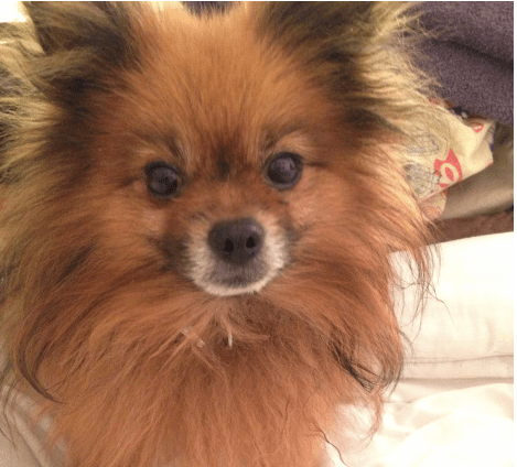 Screen Shot 2016-04-27 at 20.38.42